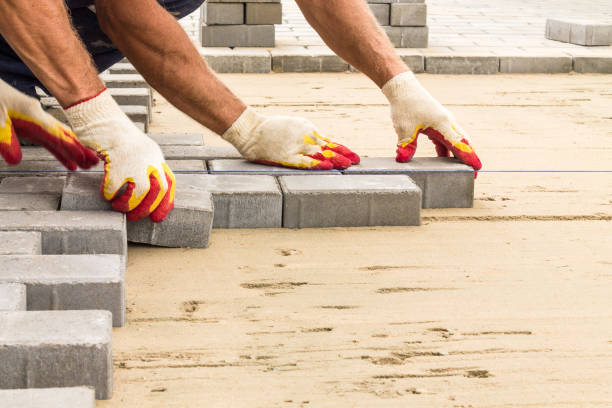 Best Driveway Paving Contractor  in Dakota City, NE