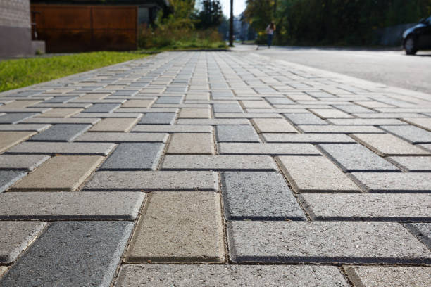 Best Driveway Pavers Near Me  in Dakota City, NE