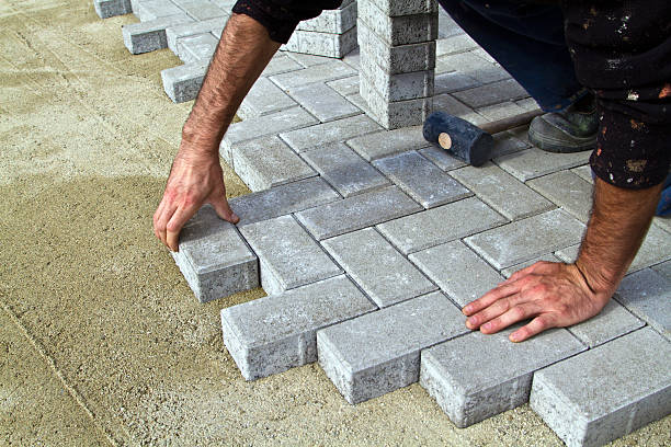 Best Custom Driveway Pavers  in Dakota City, NE