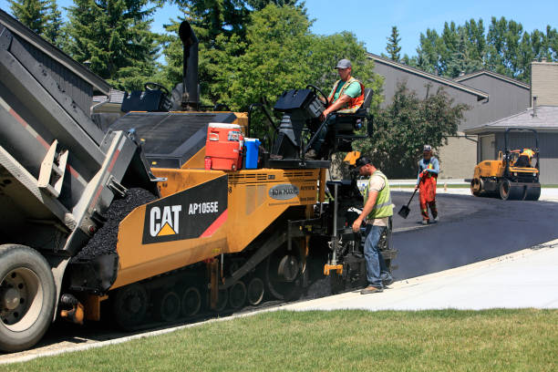 Best Professional Driveway Pavers  in Dakota City, NE